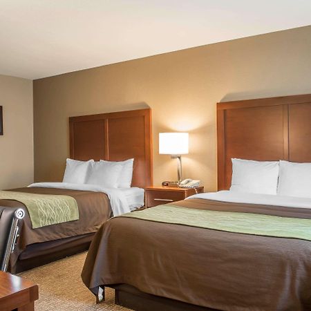 Comfort Inn Edinburg South Екстер'єр фото