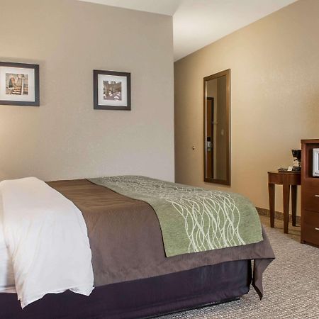 Comfort Inn Edinburg South Екстер'єр фото