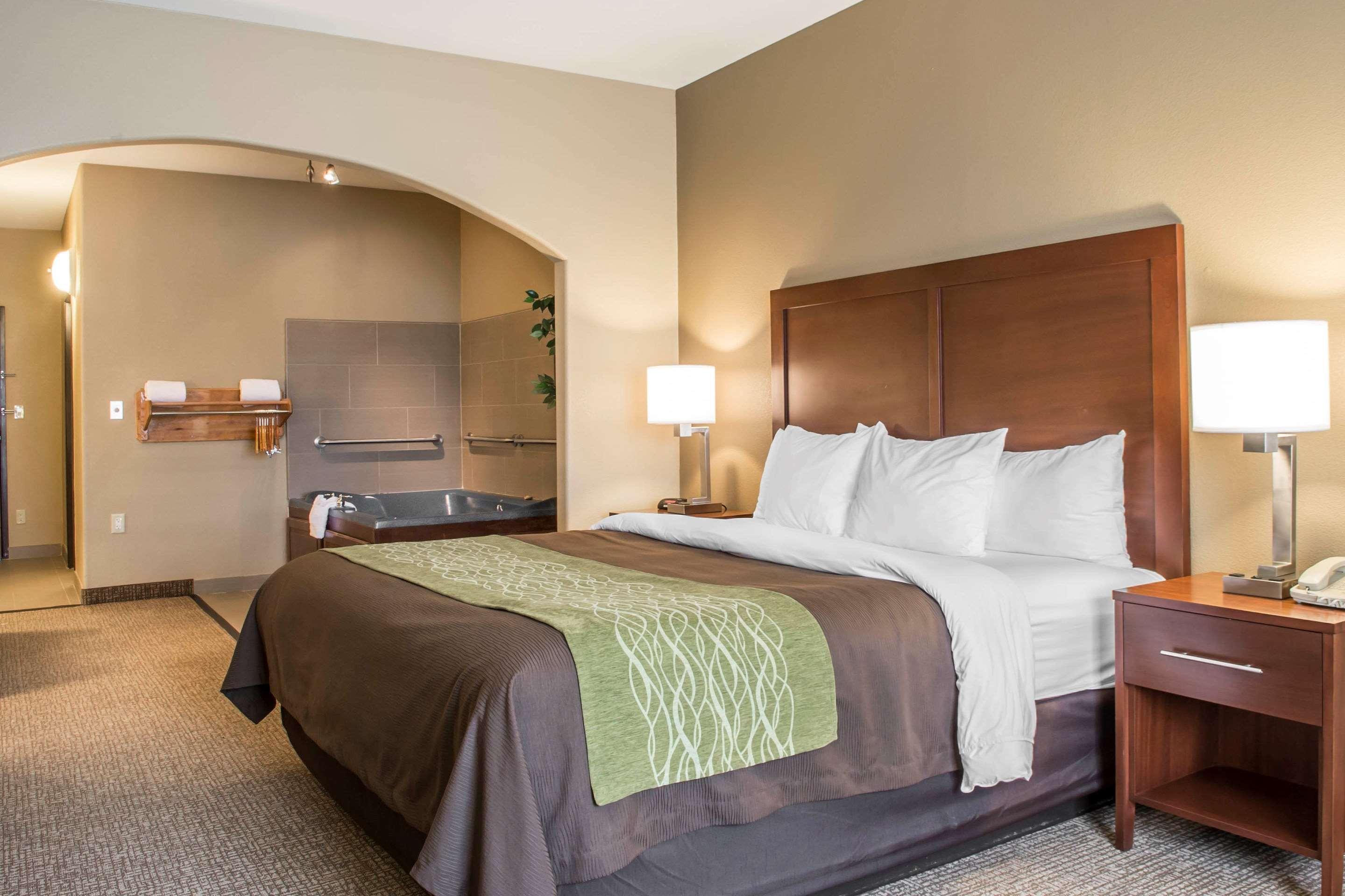 Comfort Inn Edinburg South Екстер'єр фото